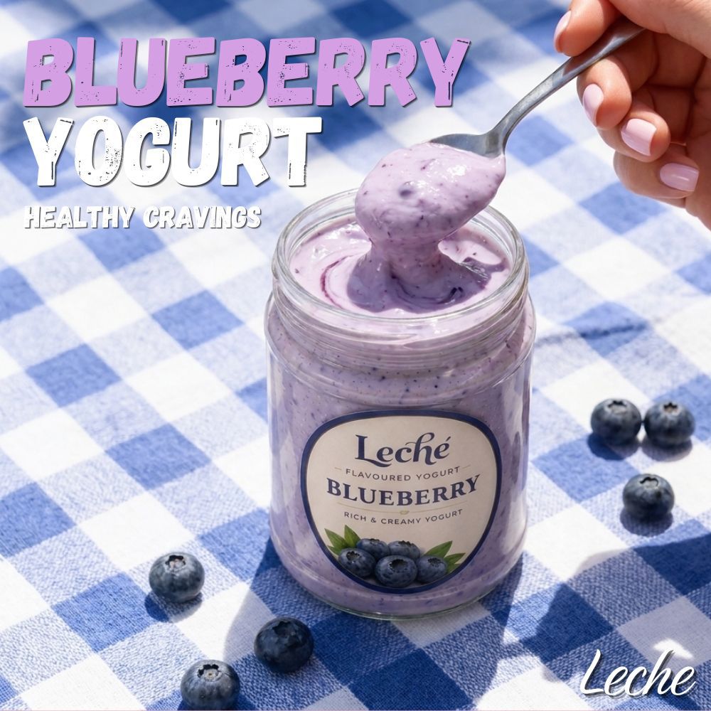 Blueberry Greek Style Yogurt - (800g)